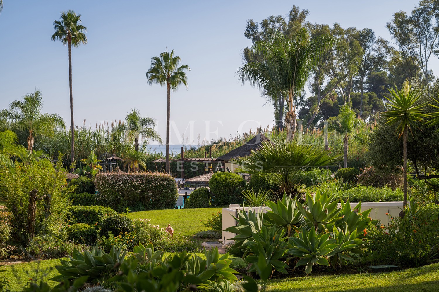 3 bed Apartment For Sale in Estepona, Malaga - thumb 6