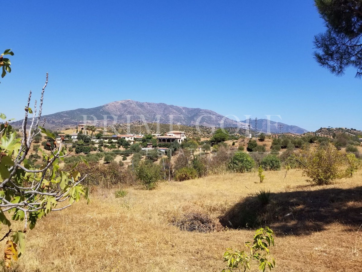 4 bed Finca For Sale in Mijas Costa, Malaga - thumb 24