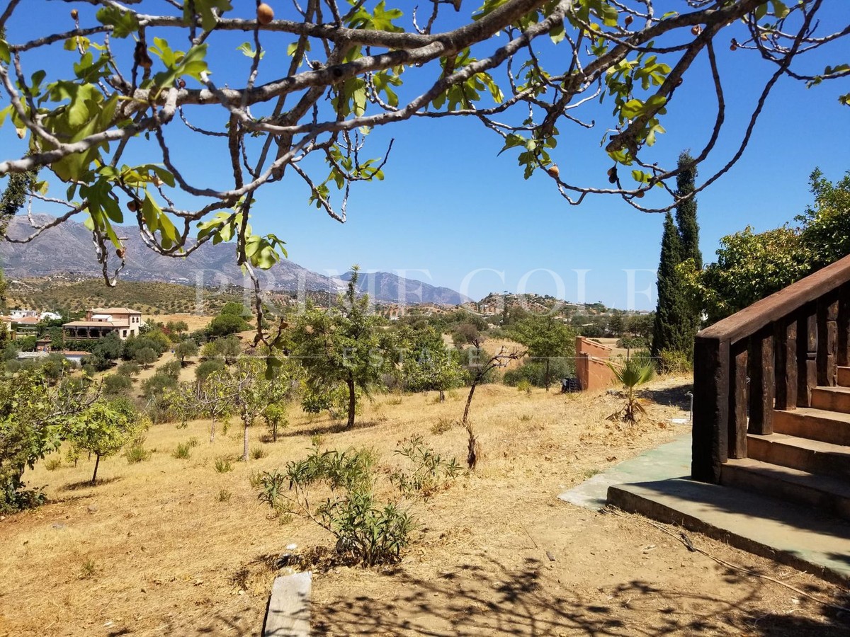 4 bed Finca For Sale in Mijas Costa, Malaga - thumb 33