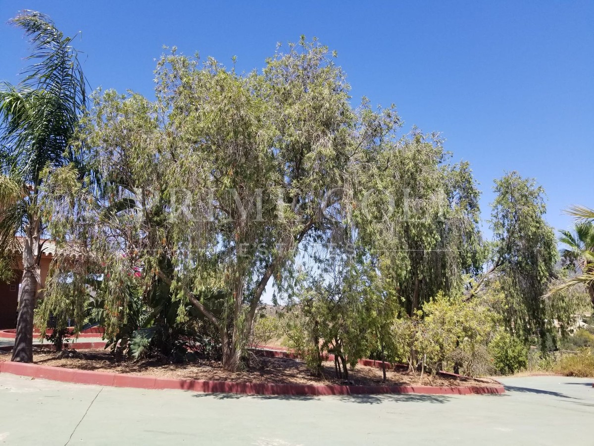 4 bed Finca For Sale in Mijas Costa, Malaga - thumb 39