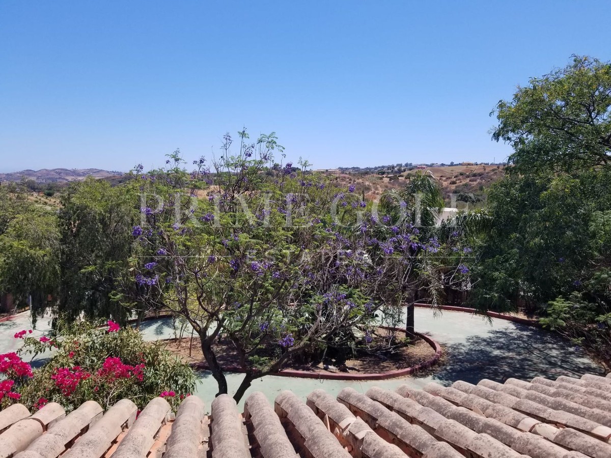 4 bed Finca For Sale in Mijas Costa, Malaga - thumb 45