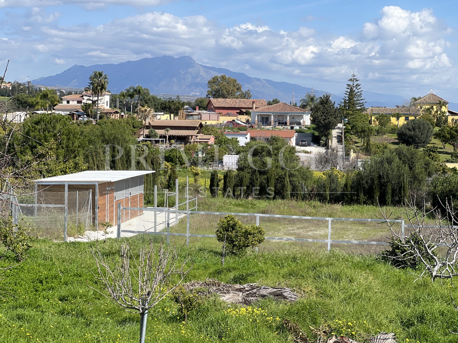 3 bed Finca For Sale in Estepona, Malaga - thumb 23