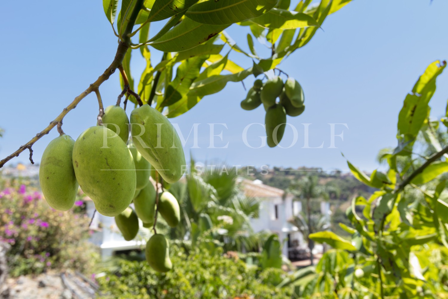 5 bed Villa For Sale in Benahavis, Malaga - thumb 48