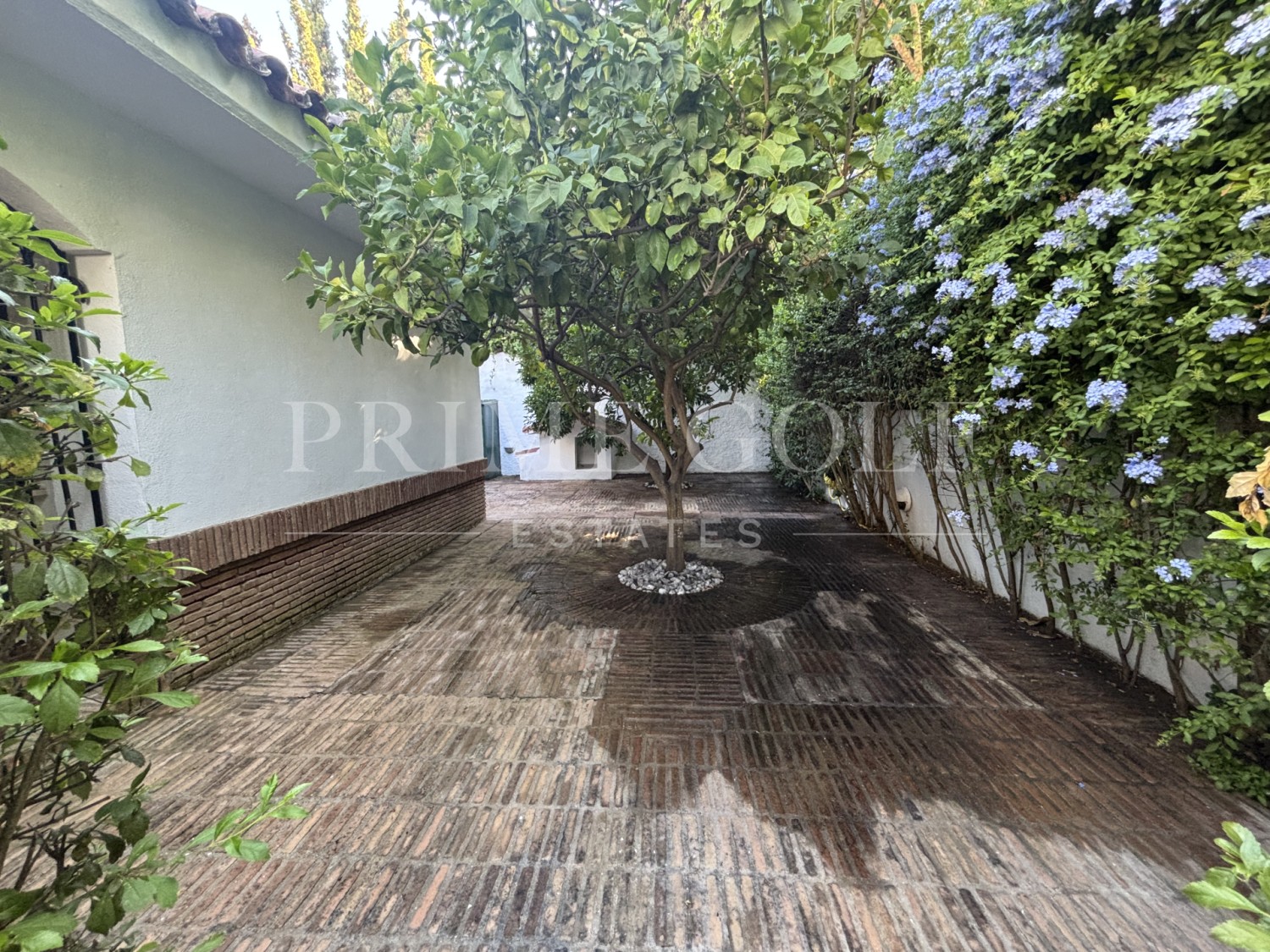 5 bed Villa For Sale in Marbella East, Malaga - thumb 8