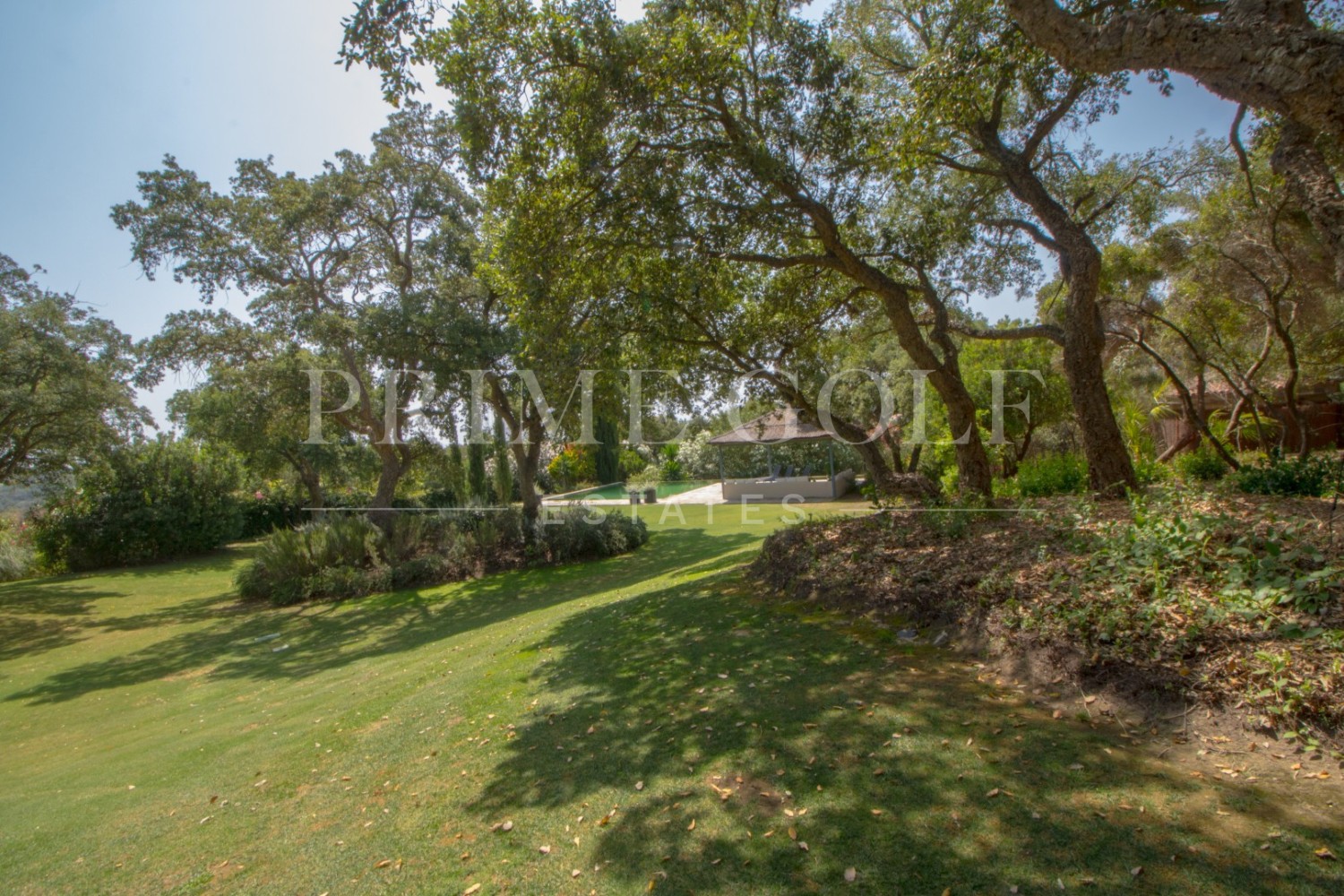 5 bed Villa For Sale in Sotogrande, Cadiz - thumb 8