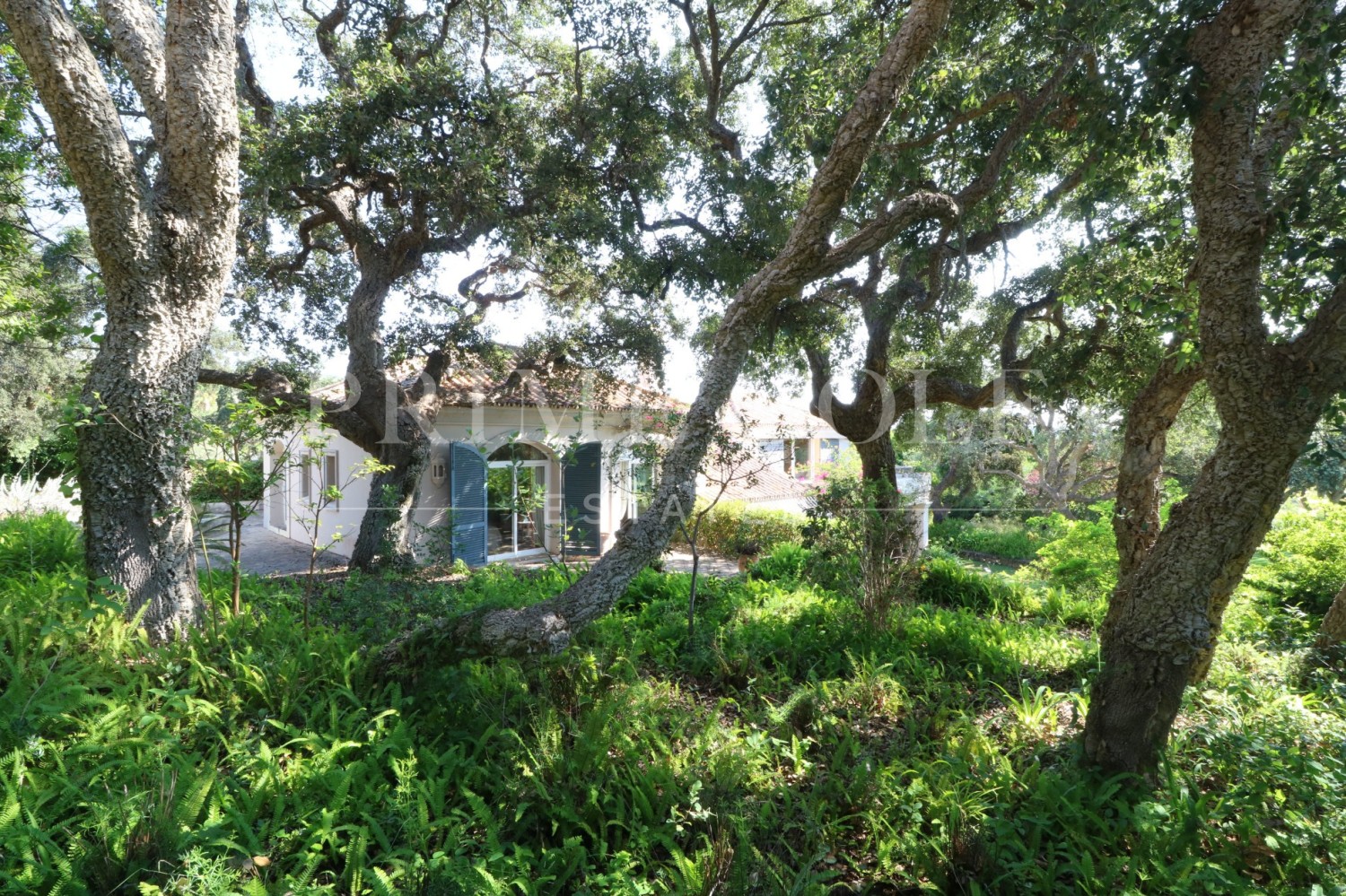 5 bed Villa For Sale in Sotogrande, Cadiz - thumb 36