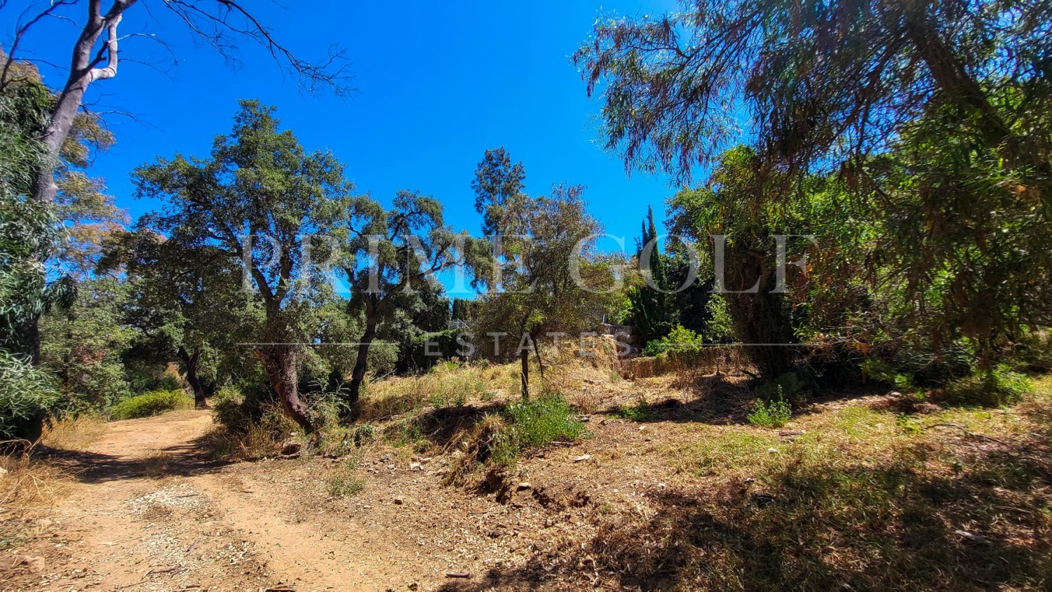 5 bed Villa For Sale in Marbella East, Malaga - thumb 35